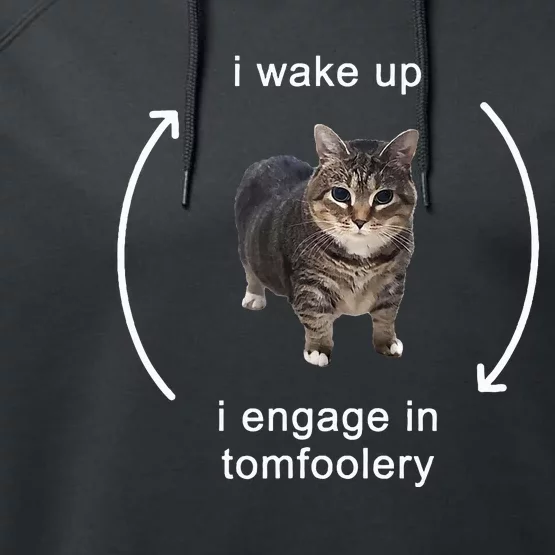 I Wake Up I Engage In Tomfoolery Silly Cat Performance Fleece Hoodie