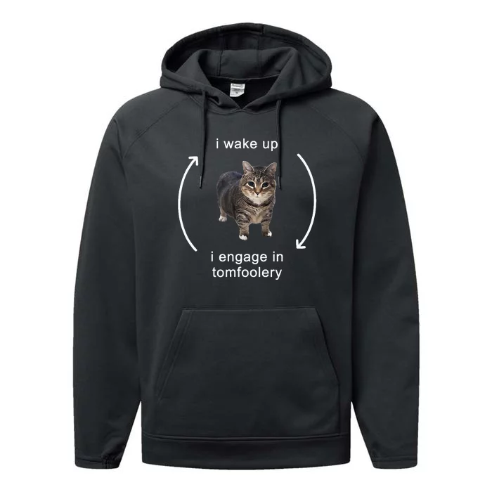 I Wake Up I Engage In Tomfoolery Silly Cat Performance Fleece Hoodie