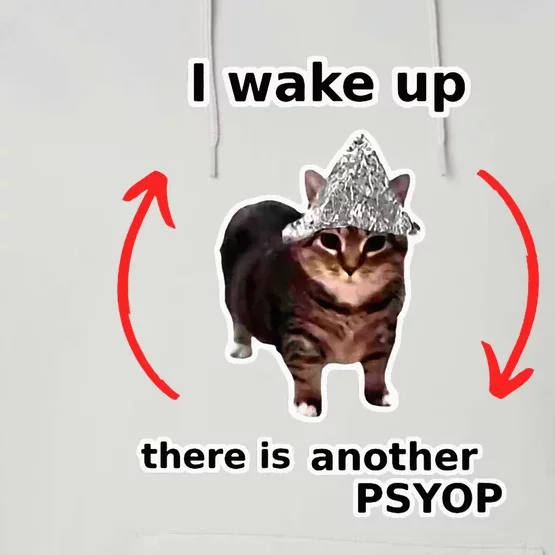 I Wake Up There Is Another Psyop Tin Foil Hat Cat Meme Performance Fleece Hoodie