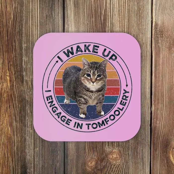 I Wake Up I Engage In Tomfoolery Silly Cat Meme Dark Joke Coaster