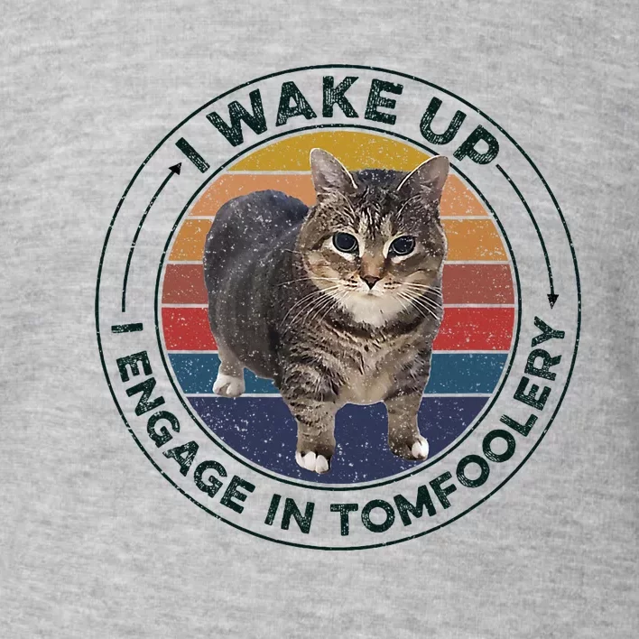 I Wake Up I Engage In Tomfoolery Silly Cat Meme Dark Joke Toddler Sweatshirt