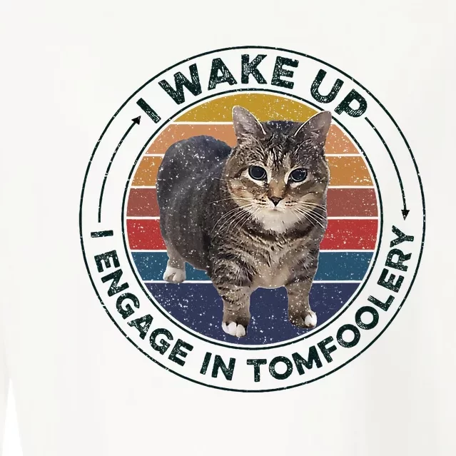 I Wake Up I Engage In Tomfoolery Silly Cat Meme Dark Joke Cropped Pullover Crew