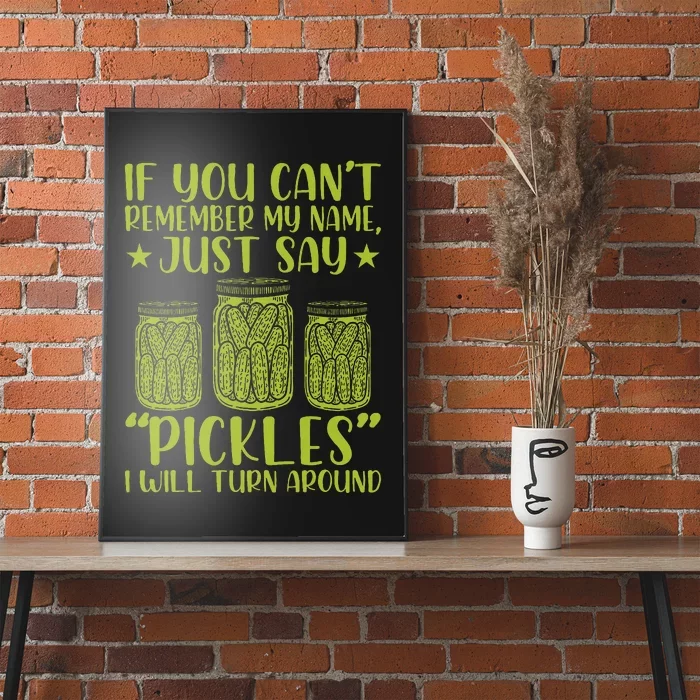 If You CanT Remember My Name Just Say Pickles Poster