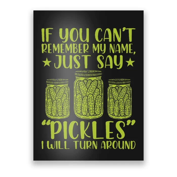 If You CanT Remember My Name Just Say Pickles Poster