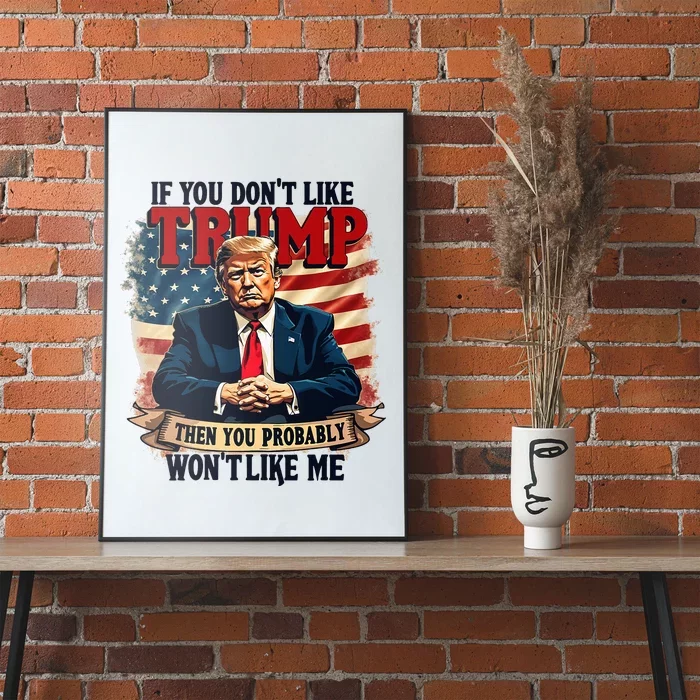 If You DonT Like Trump Then You Probably WonT Like Me Poster