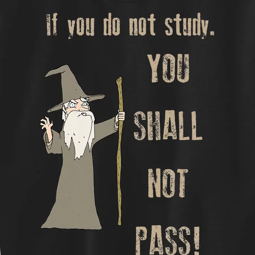 If You Do Not Study. You Shall Not Pass! Kids Sweatshirt