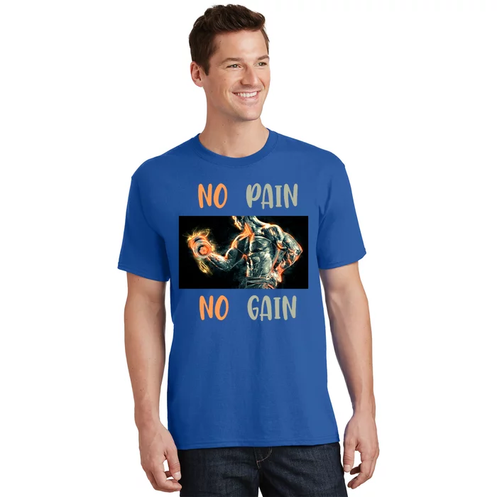 If You Don't Want To Give Up No Pain No Gain Gift T-Shirt