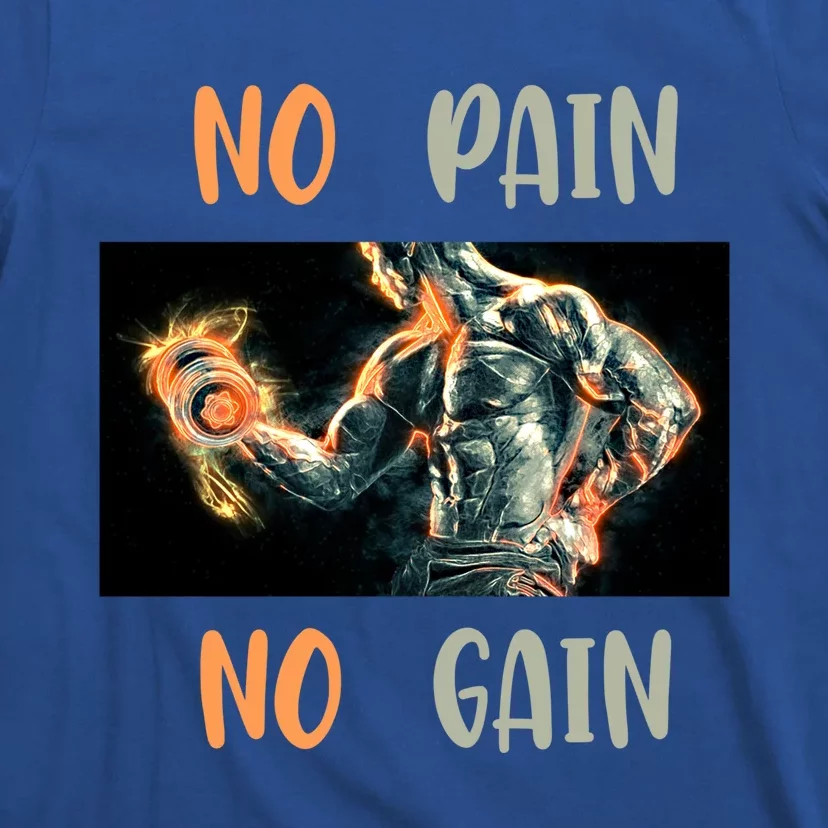 If You Don't Want To Give Up No Pain No Gain Gift T-Shirt