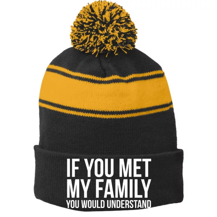 If You Met My Family You Would Understand Funny Sayings Stripe Pom Pom Beanie