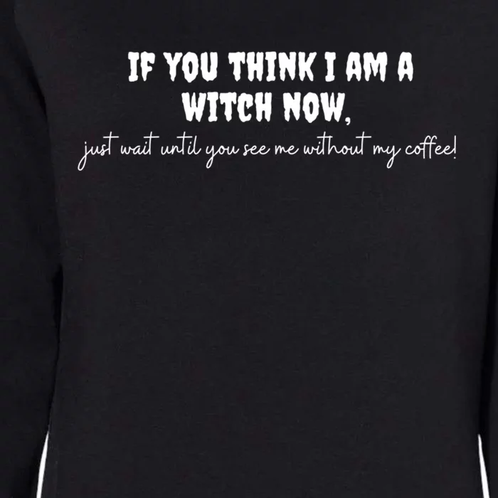 If You Think I Am A Witch Now Funny Humorous Halloween Gift Womens California Wash Sweatshirt