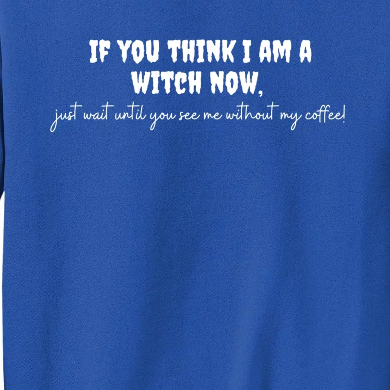 If You Think I Am A Witch Now Funny Humorous Halloween Gift Sweatshirt