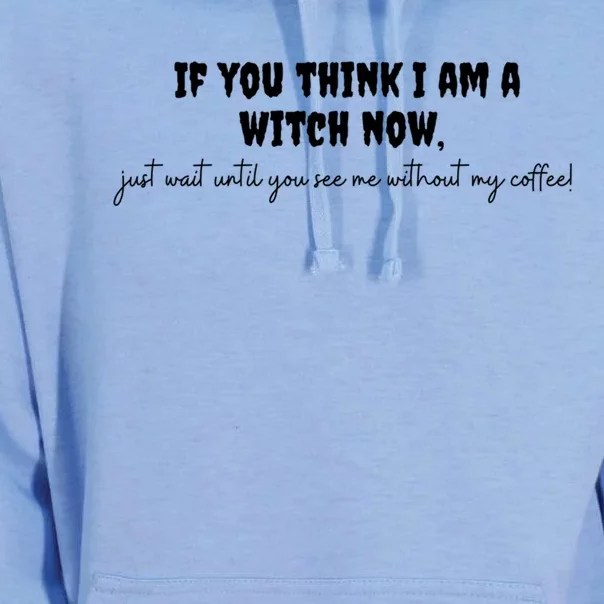 If You Think I Am A Witch Now Funny Humorous Halloween Gift Unisex Surf Hoodie