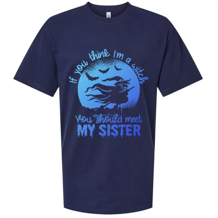 If You Think I Am A Witch You Should Meet My Sister Family Gift Sueded Cloud Jersey T-Shirt