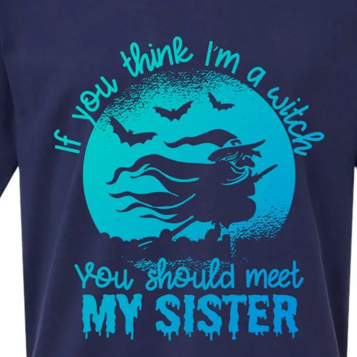 If You Think I Am A Witch You Should Meet My Sister Family Gift Sueded Cloud Jersey T-Shirt