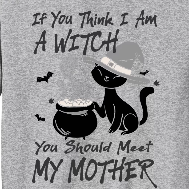 If You Think I Am A Witch Meet My Mother Funny Halloween Gift Tall Sweatshirt