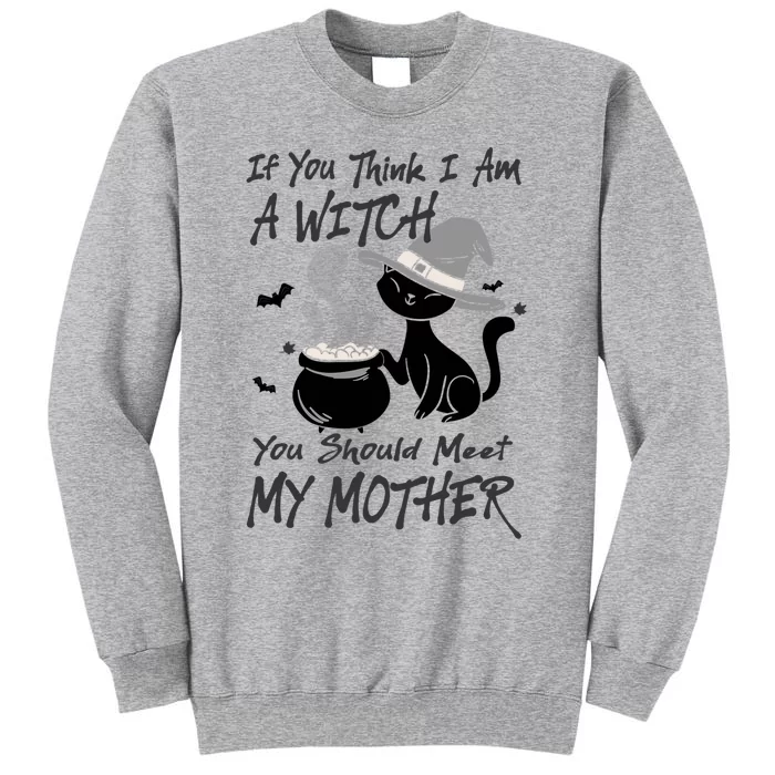 If You Think I Am A Witch Meet My Mother Funny Halloween Gift Tall Sweatshirt