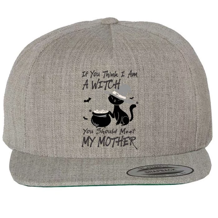 If You Think I Am A Witch Meet My Mother Funny Halloween Gift Wool Snapback Cap