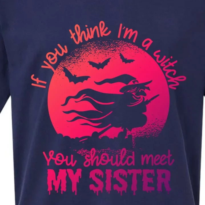 If You Think I Am A Witch You Should Meet My Sister Family Gift Sueded Cloud Jersey T-Shirt