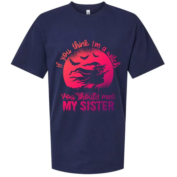 If You Think I Am A Witch You Should Meet My Sister Family Gift Sueded Cloud Jersey T-Shirt