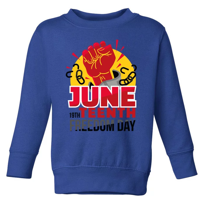 June 19 Teenth Freedom Day Funny Gift Toddler Sweatshirt