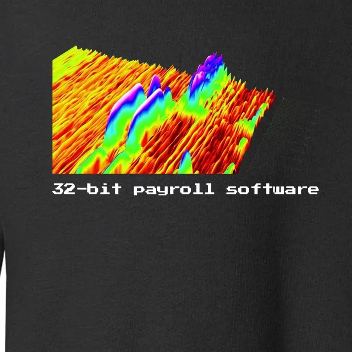 Joinwarp 32bit Payroll Software Toddler Sweatshirt