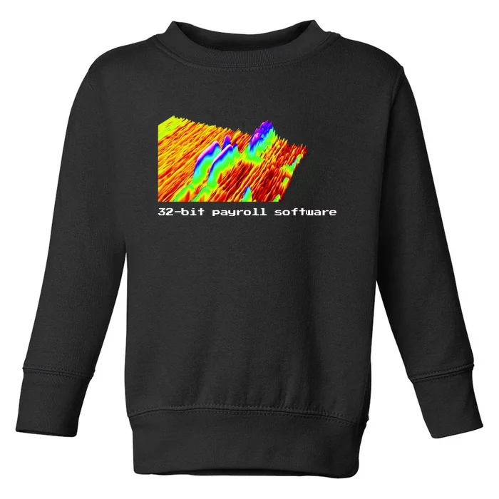 Joinwarp 32bit Payroll Software Toddler Sweatshirt