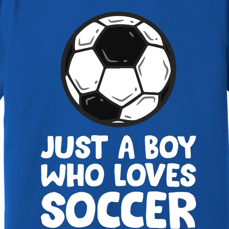 Just A Boy Who Loves Soccer Meaningful Gift Premium T-Shirt