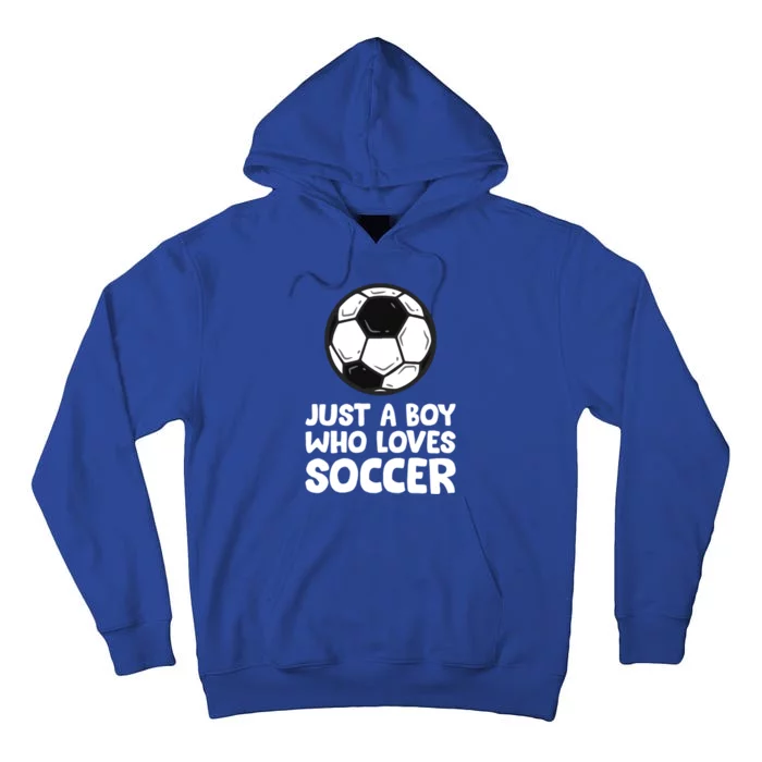 Just A Boy Who Loves Soccer Meaningful Gift Tall Hoodie