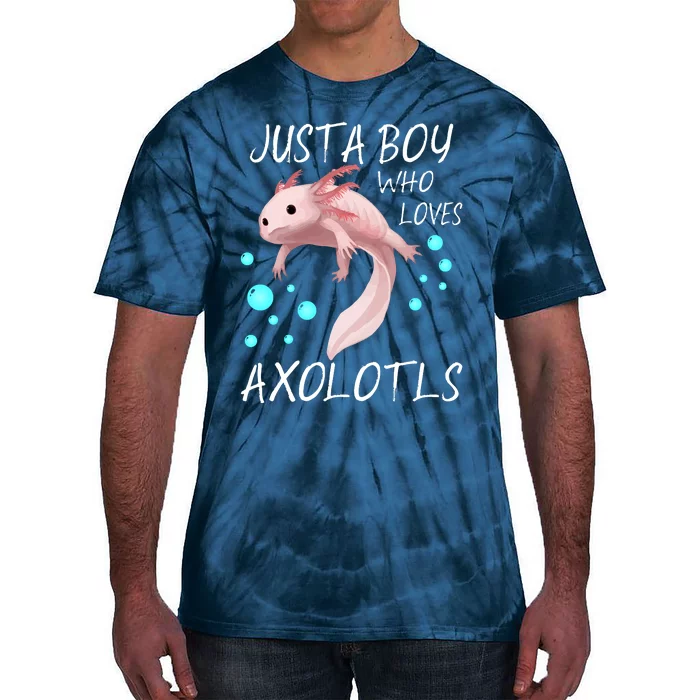 Just A Boy Who Loves Axolotls Tie-Dye T-Shirt