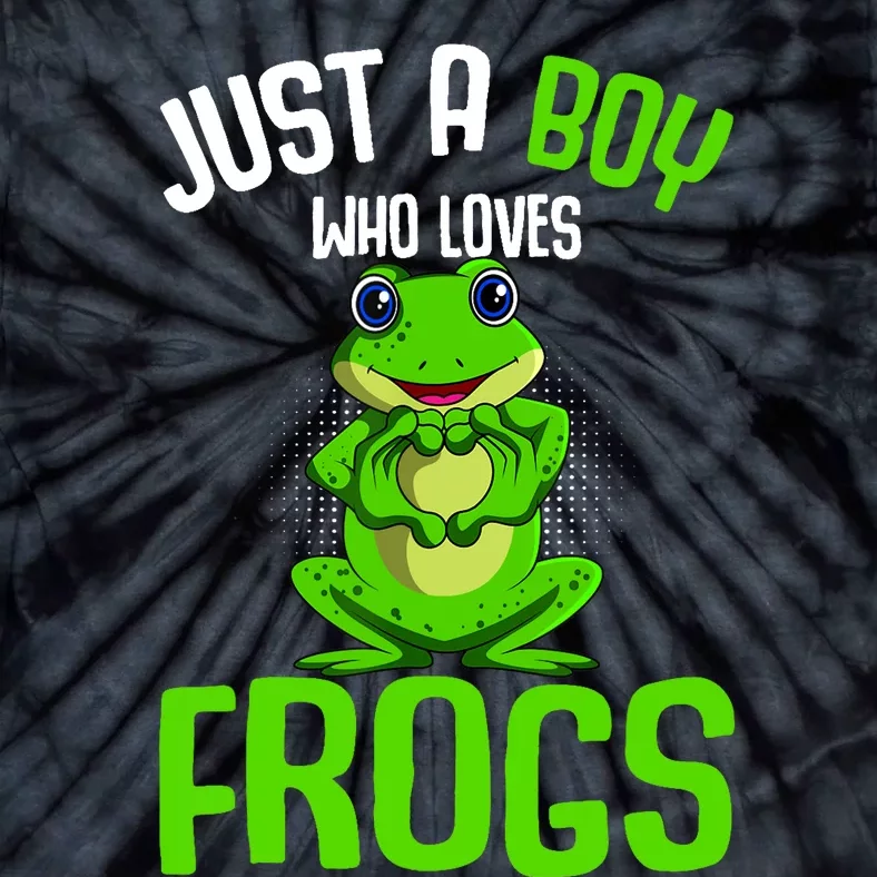 Just A Boy Who Loves Frogs Boy Frog Tie-Dye T-Shirt