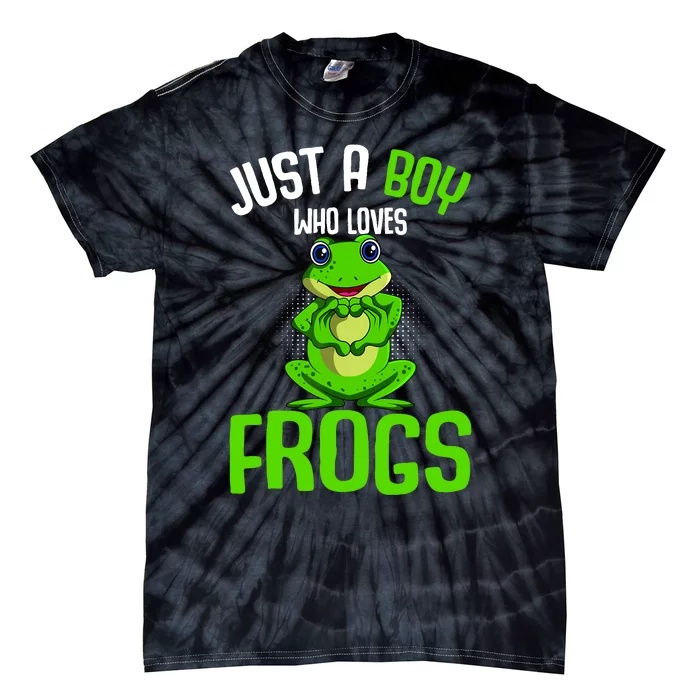 Just A Boy Who Loves Frogs Boy Frog Tie-Dye T-Shirt