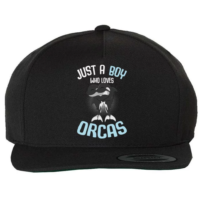 Just A Boy Who Loves Orcas Killer Whale Boys Wool Snapback Cap