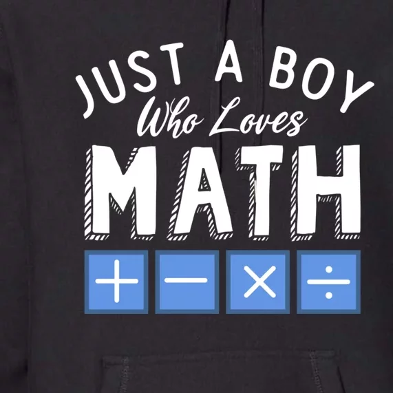 Just A Boy Who Loves Math Algebra Funny Mathematics Premium Hoodie