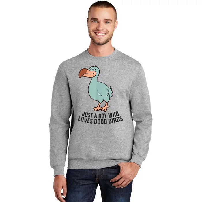 Just A Boy Who Loves Dodo Birds Tall Sweatshirt