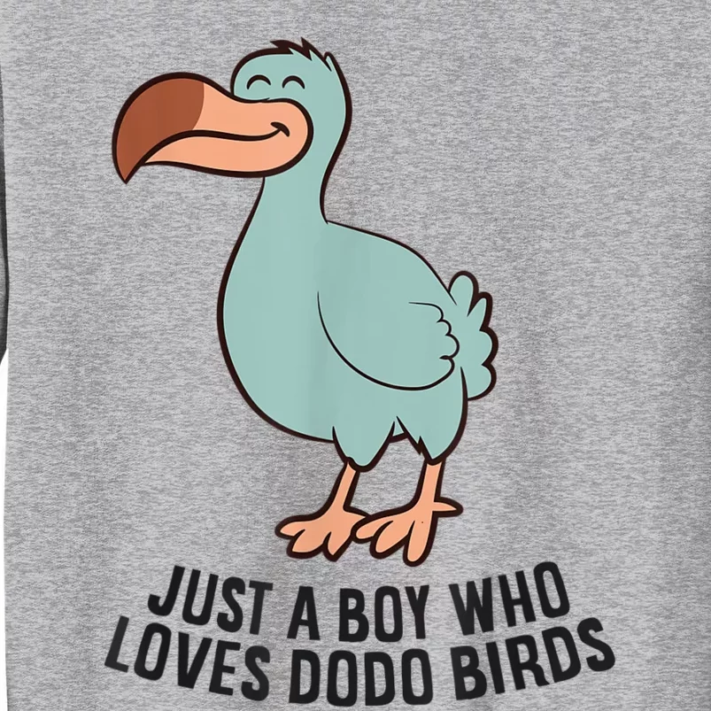 Just A Boy Who Loves Dodo Birds Tall Sweatshirt