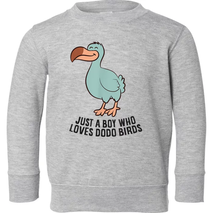 Just A Boy Who Loves Dodo Birds Toddler Sweatshirt