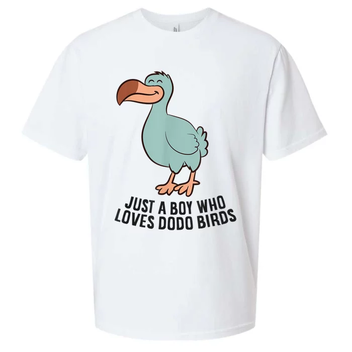 Just A Boy Who Loves Dodo Birds Sueded Cloud Jersey T-Shirt