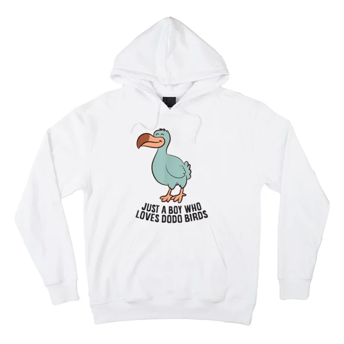 Just A Boy Who Loves Dodo Birds Hoodie