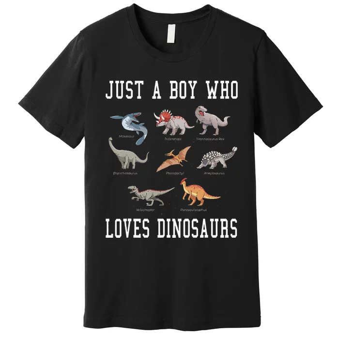 Just A Boy Who Loves Dinosaurs Gifts For Paleontologist Premium T-Shirt