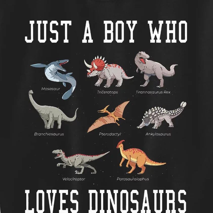 Just A Boy Who Loves Dinosaurs Gifts For Paleontologist Kids Sweatshirt