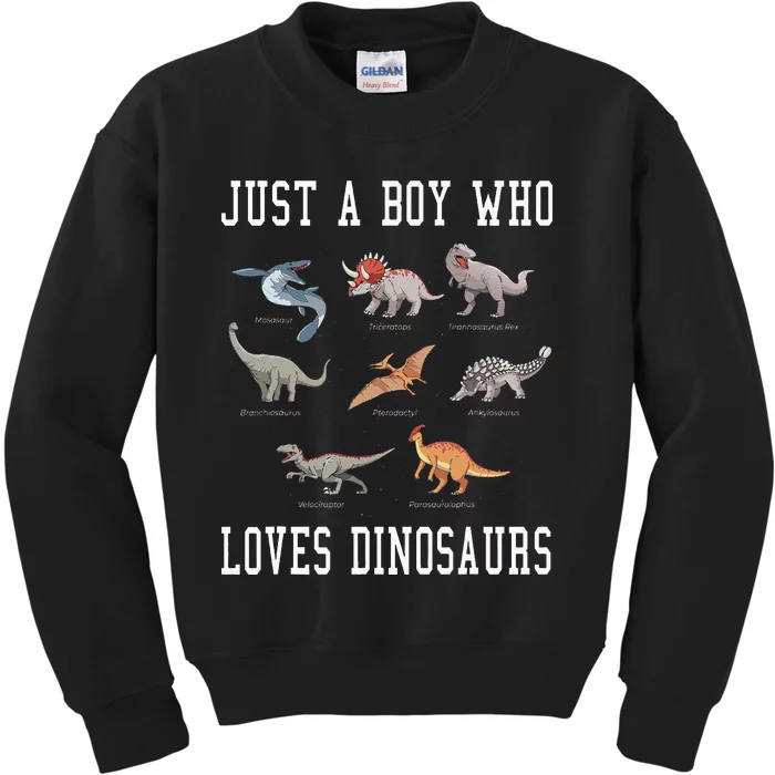 Just A Boy Who Loves Dinosaurs Gifts For Paleontologist Kids Sweatshirt