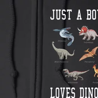 Just A Boy Who Loves Dinosaurs Gifts For Paleontologist Full Zip Hoodie