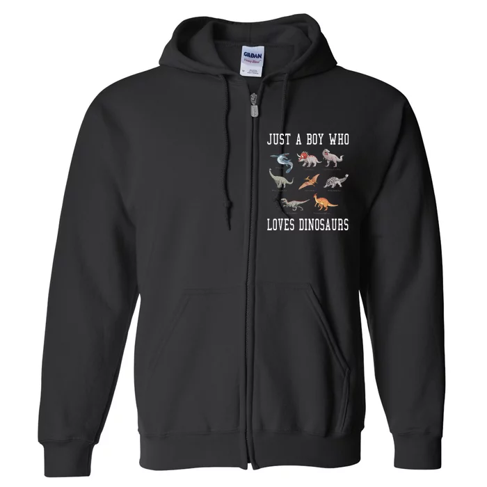 Just A Boy Who Loves Dinosaurs Gifts For Paleontologist Full Zip Hoodie