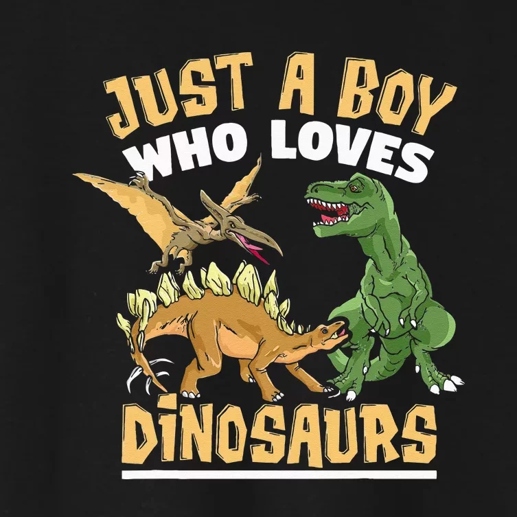 Just A Boy Who Loves Dinosaurs Schoolboys And Paleontologist Women's Crop Top Tee