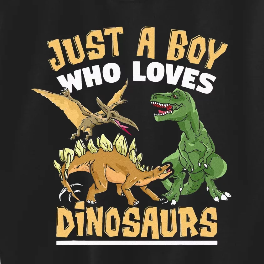 Just A Boy Who Loves Dinosaurs Schoolboys And Paleontologist Kids Sweatshirt