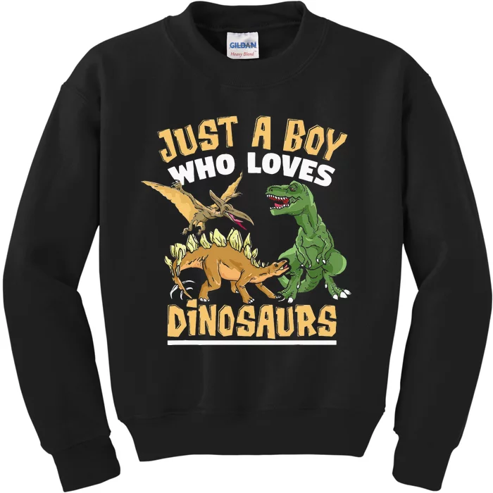 Just A Boy Who Loves Dinosaurs Schoolboys And Paleontologist Kids Sweatshirt