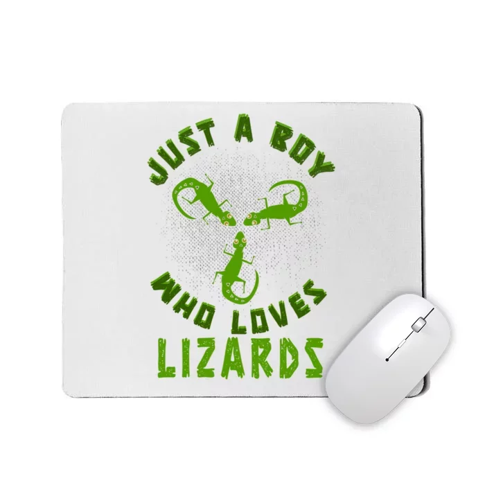 Just A Boy Who Loves Lizards Reptile Lizard Lovers Gift Mousepad