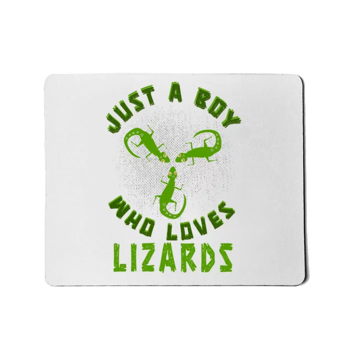 Just A Boy Who Loves Lizards Reptile Lizard Lovers Gift Mousepad