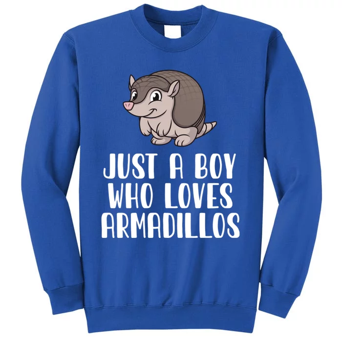 Just A Boy Who Loves Armadillos Tall Sweatshirt