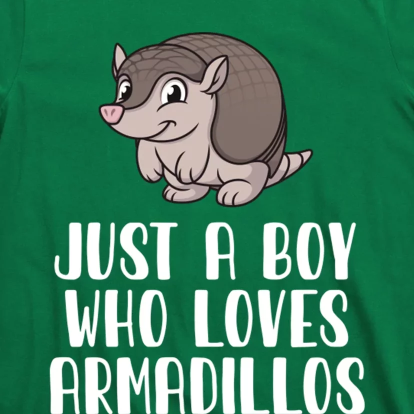 Just A Boy Who Loves Armadillos T-Shirt